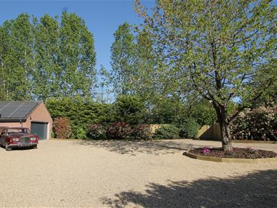 Picture 30